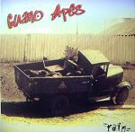 Guano Apes Rain album cover