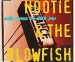 Hootie & The Blowfish Only Wanna Be With You album cover