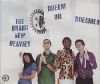 The Brand New Heavies Dream On Dreamer album cover