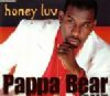 Pappa Bear feat. Van der Toorn Honey Luv album cover