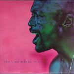Seal Human Beings album cover