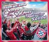 Bayern-Fans United Stern des Südens album cover