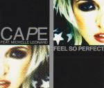 Cape feat. Michelle Leonard Feel So Perfect album cover