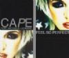 Cape feat. Michelle Leonard Feel So Perfect album cover