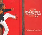 Ricky Schmerz in mir album cover