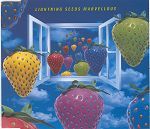 The Lightning Seeds Marvellous album cover