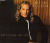 Michael Bolton Said I Loved You... But I Lied album cover