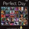 Various Artists Perfect Day album cover