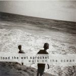 Toad The Wet Sprocket Walk On The Ocean album cover