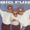 Big Fun Can't Shake The Feeling album cover