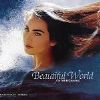 Beautiful World In The Beginning album cover