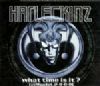 Harleckinz What Time Is It? (Zeitgeist 2.0.0.0) album cover