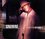 Ginuwine What's So Different? album cover