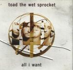 Toad The Wet Sprocket All I Want album cover