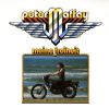 Peter Maffay - Freiheit, die ich meine