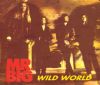 Mr Big Wild World album cover